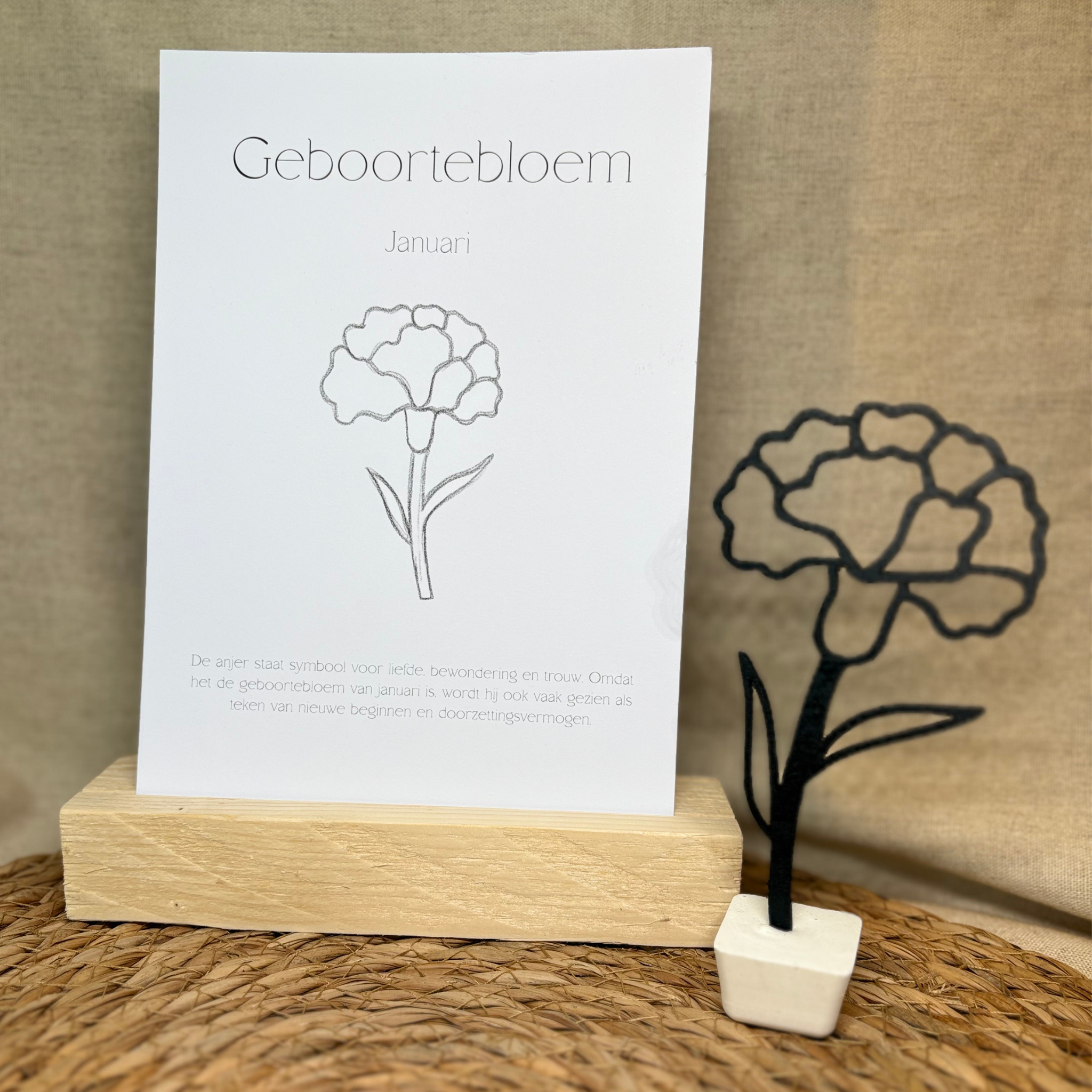 Geboortebloem - Januari
