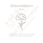 Geboortebloem - Januari