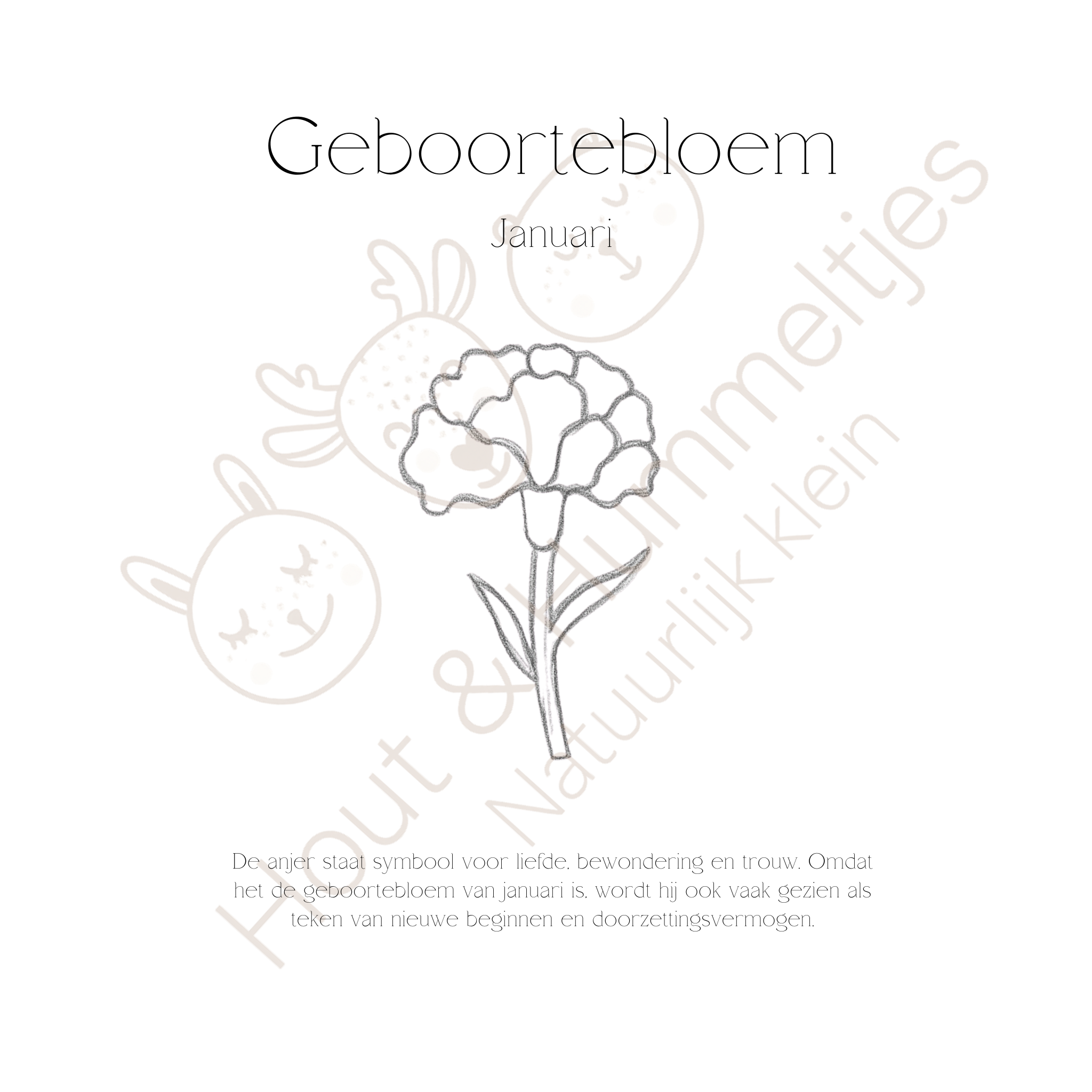 Geboortebloem - Januari