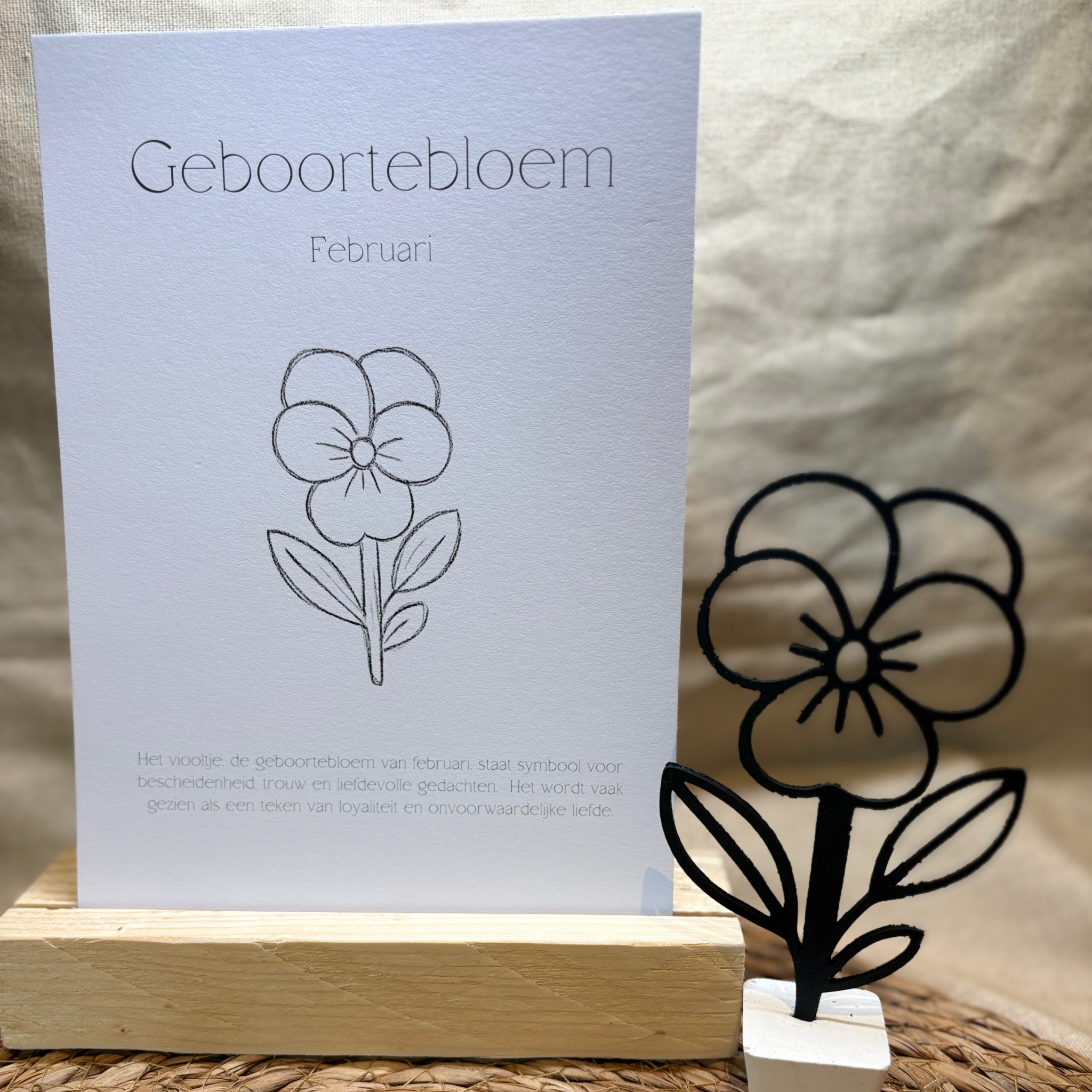 Geboortebloem - Februari