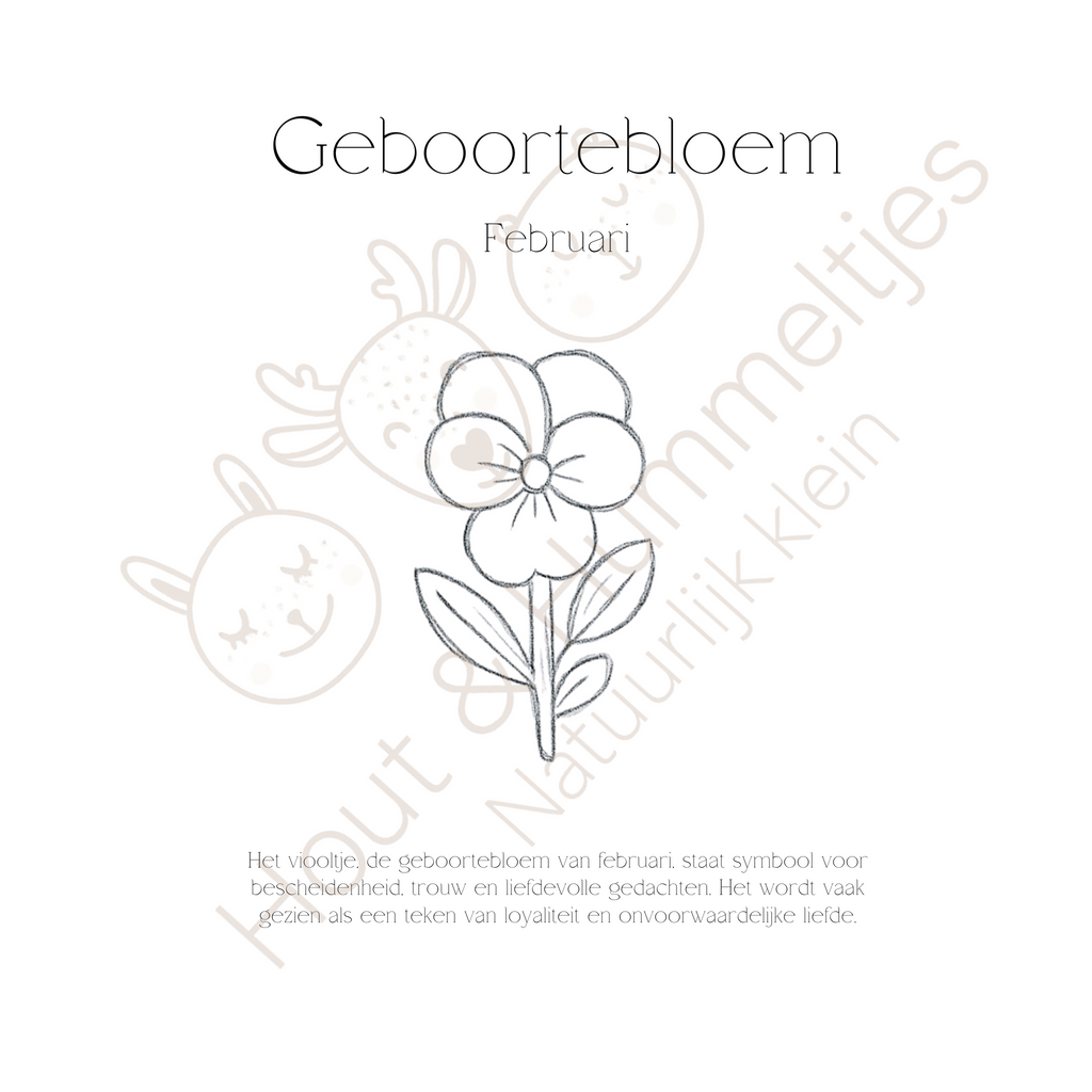 Geboortebloem - Februari