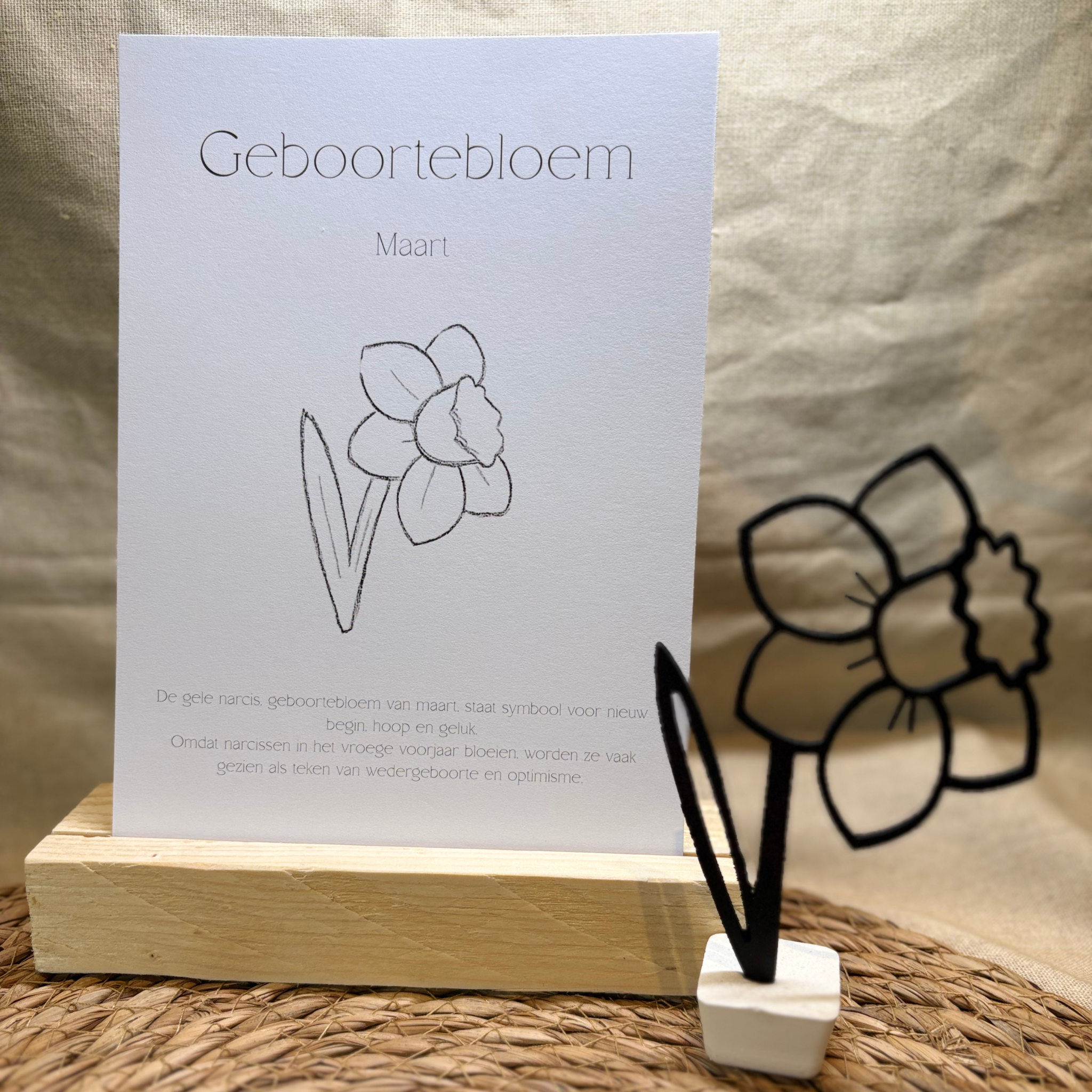 Geboortebloem - Maart