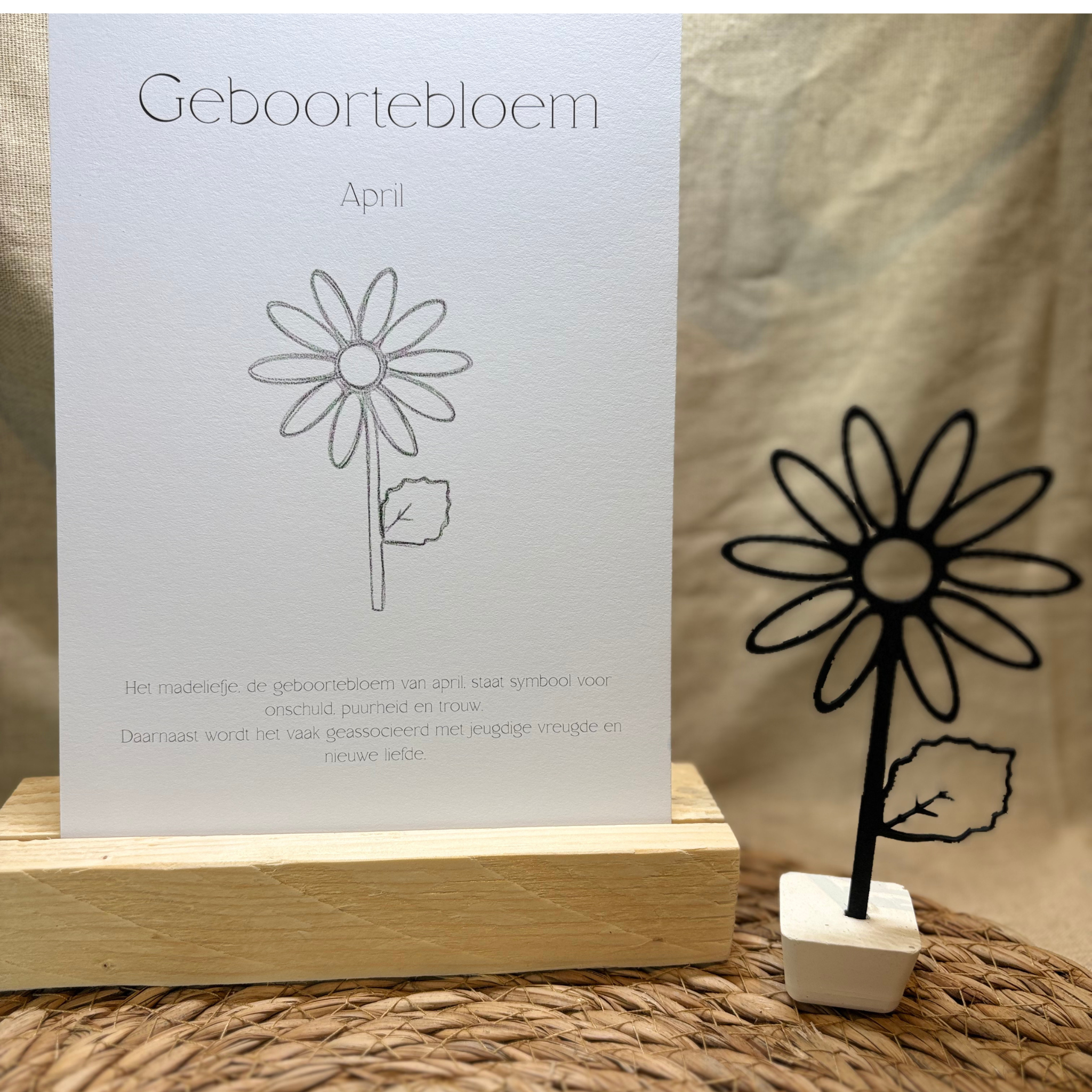 Geboortebloem - April