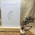 Geboortebloem - Mei