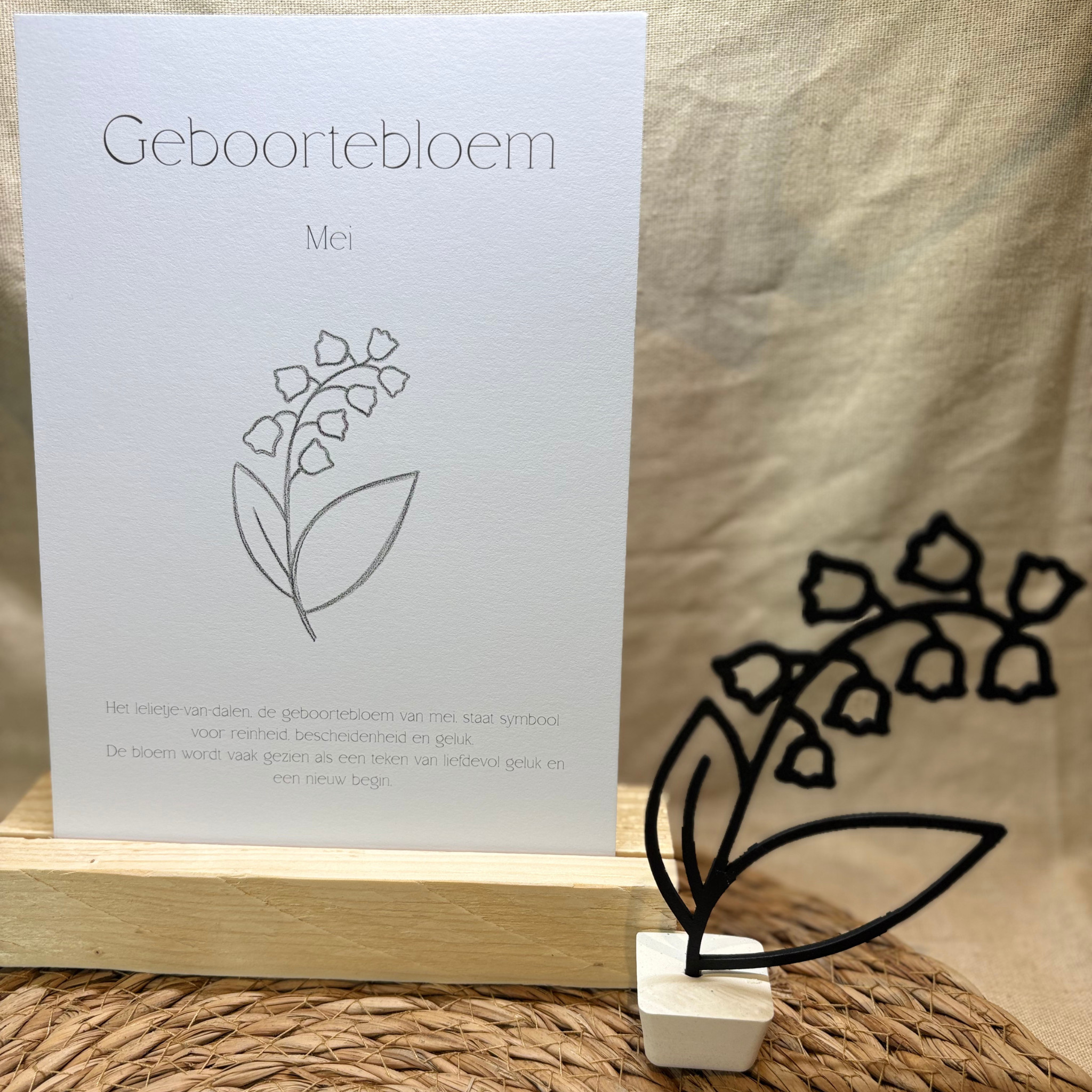 Geboortebloem - Mei