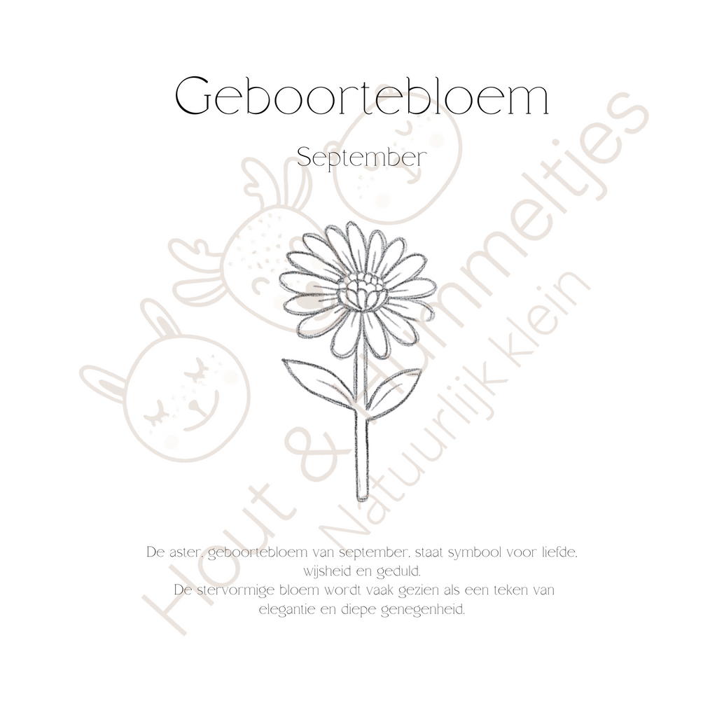 Geboortebloem - September