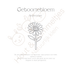 Geboortebloem - September