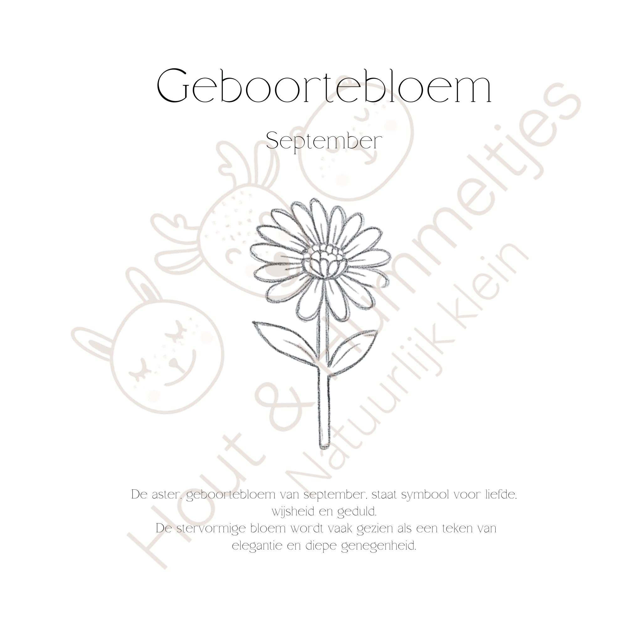 Geboortebloem - September