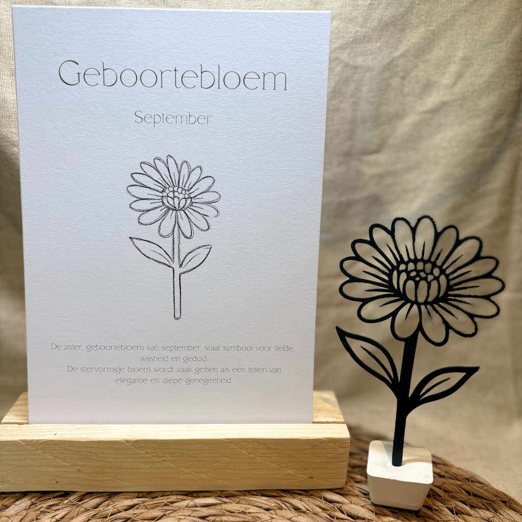 Geboortebloem - September