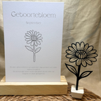 Geboortebloem - September