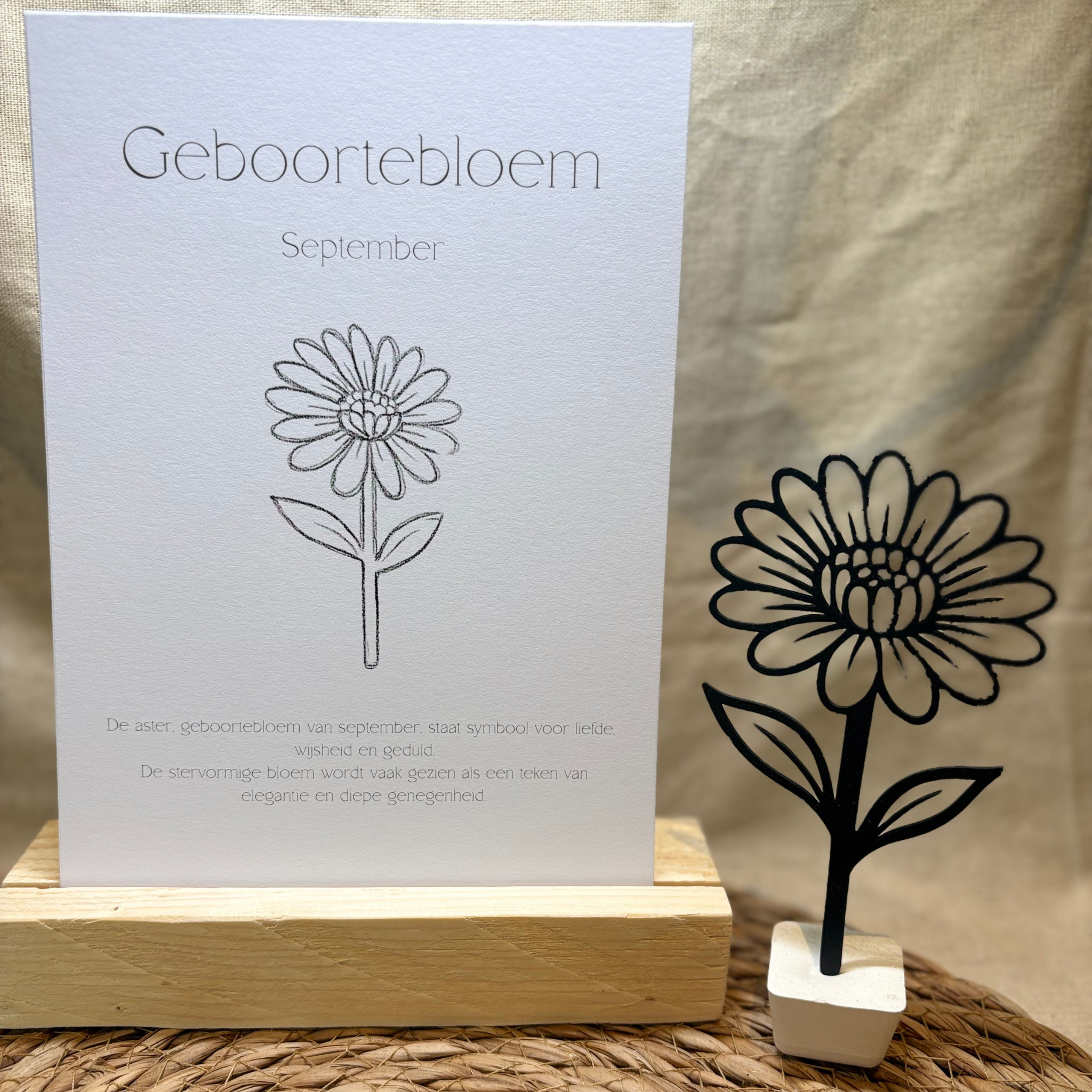 Geboortebloem - September