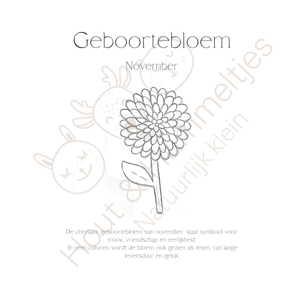 Geboortebloem - November