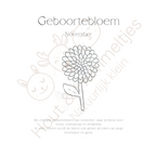 Geboortebloem - November