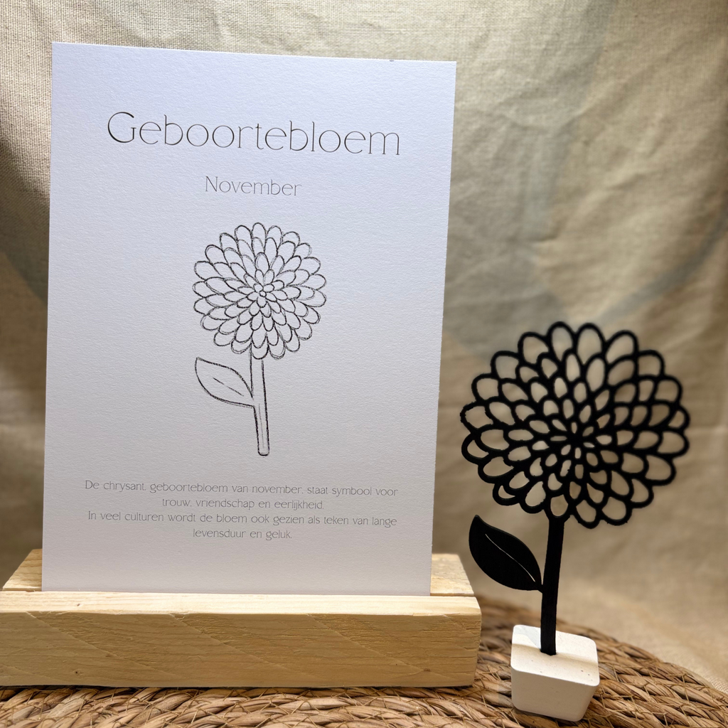 Geboortebloem - November