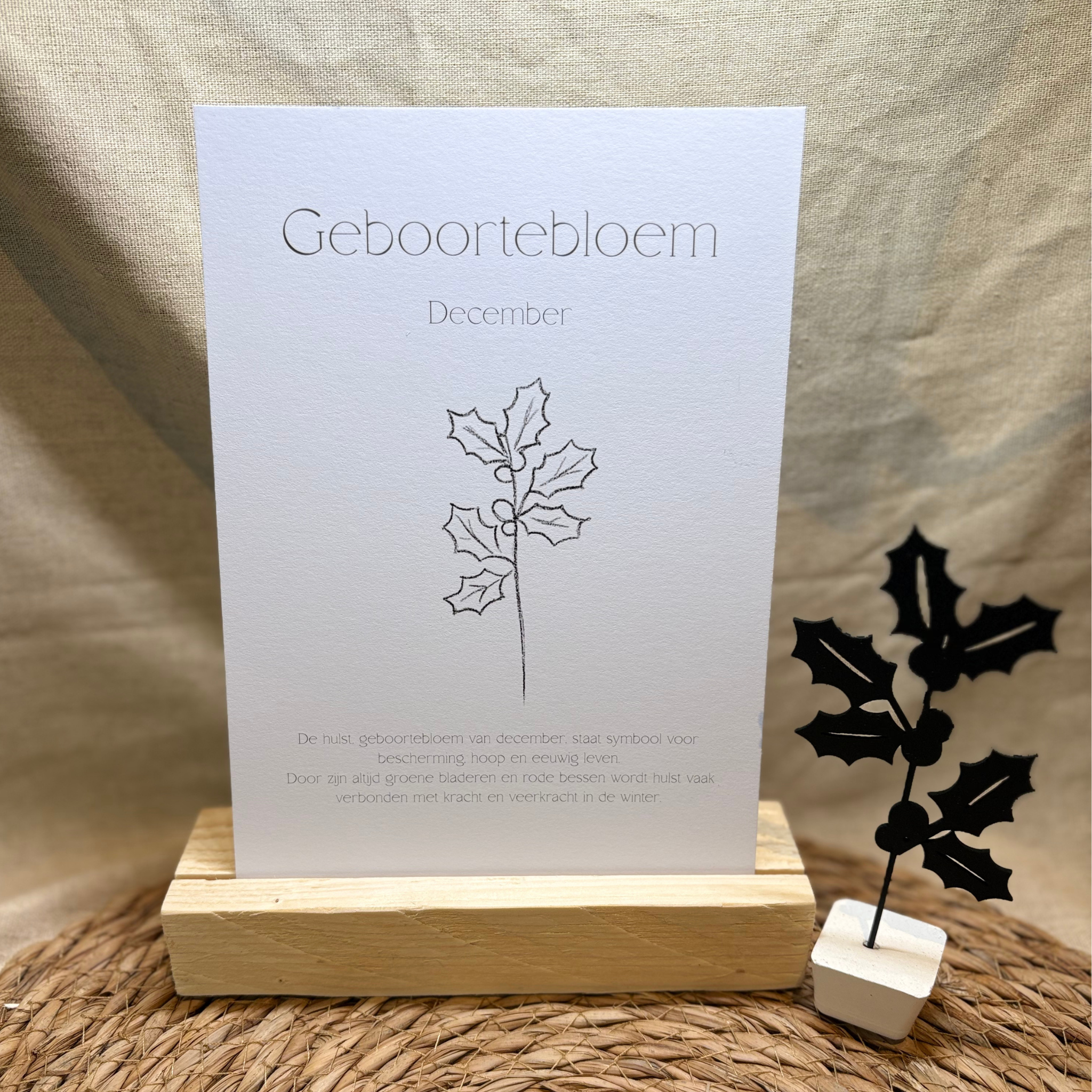 Geboortebloem - December