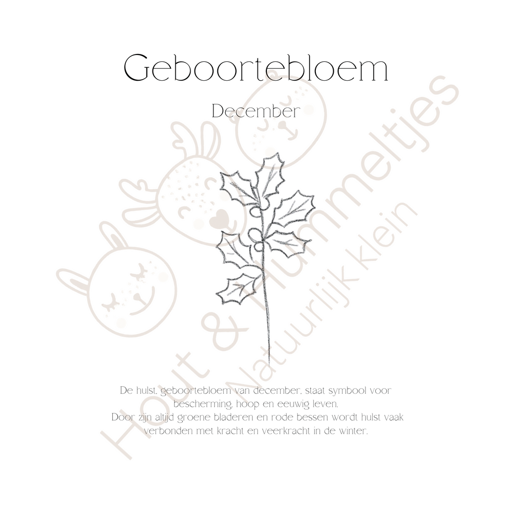 Geboortebloem - December