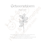 Geboortebloem - December